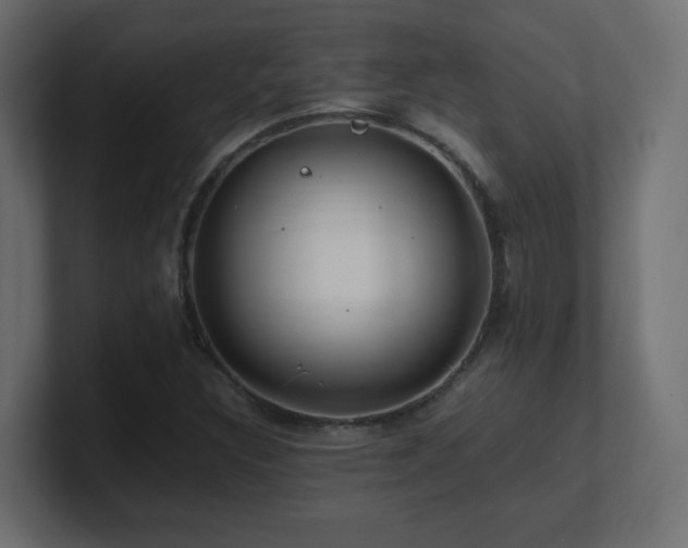 X0000101101308200806261504