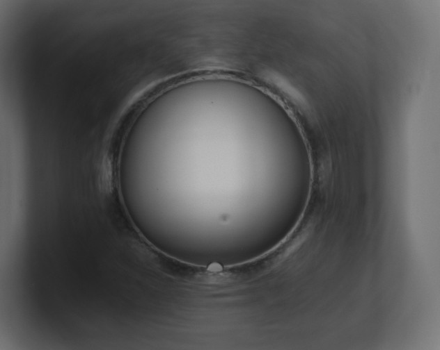 X0000101101310200806261504