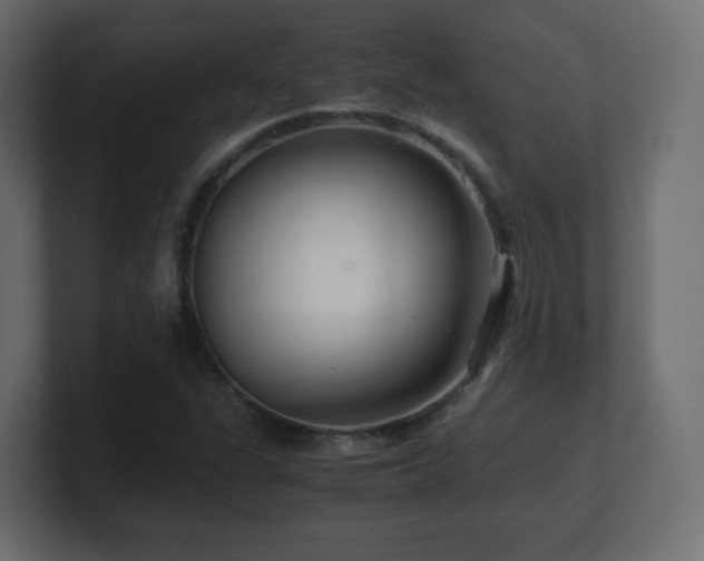 X0000101101311200806261504