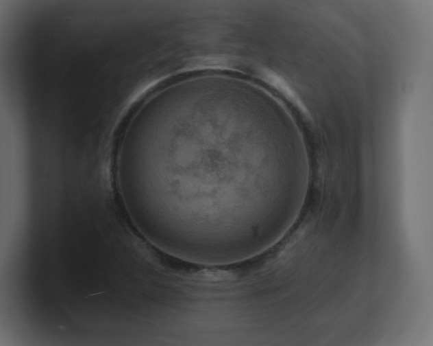X0000101101312200806261504