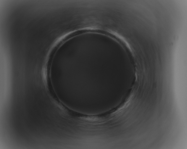 X0000101101319200806261504