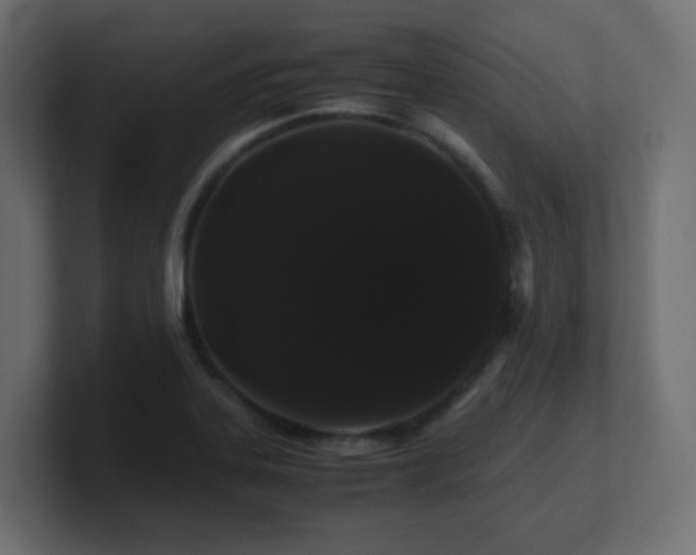 X0000101101323200806261504