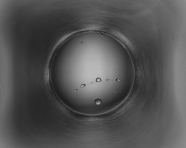 X0000101101324200806261504