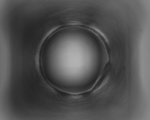 X0000101101325200806261504