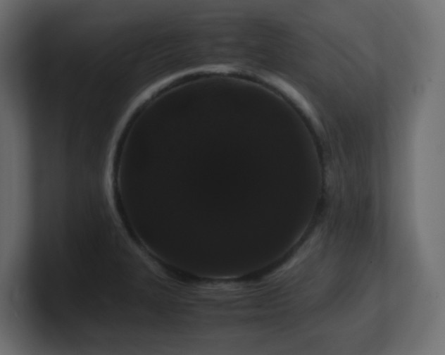 X0000101101327200806261504