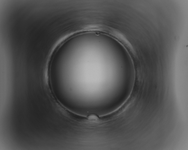 X0000101101328200806261504