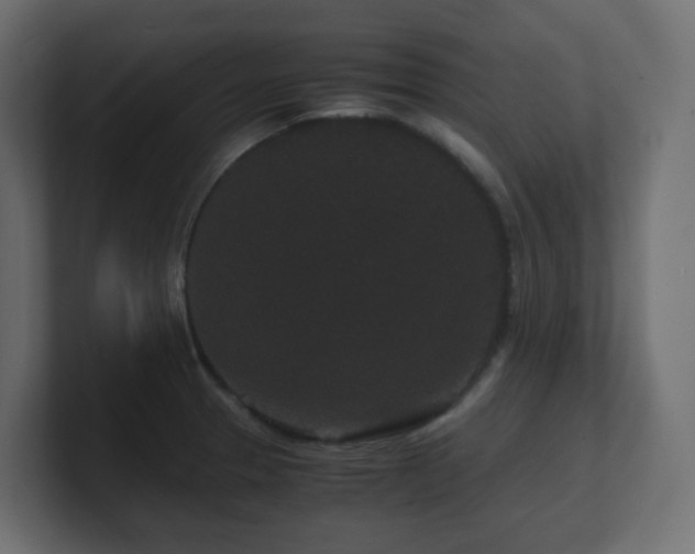 X0000101101329200806261504