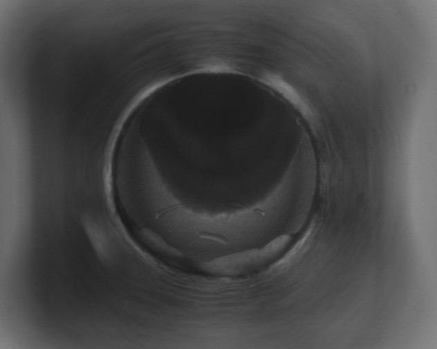 X0000101101331200806261504