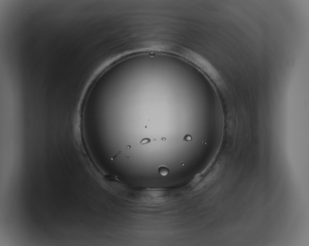 X0000101101332200806261504