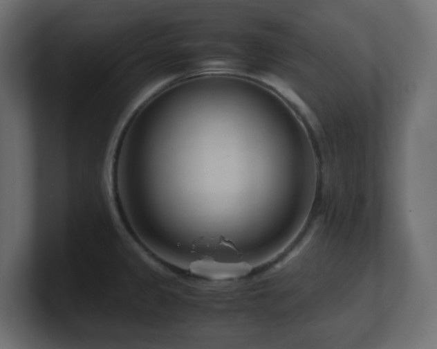 X0000101101333200806261504