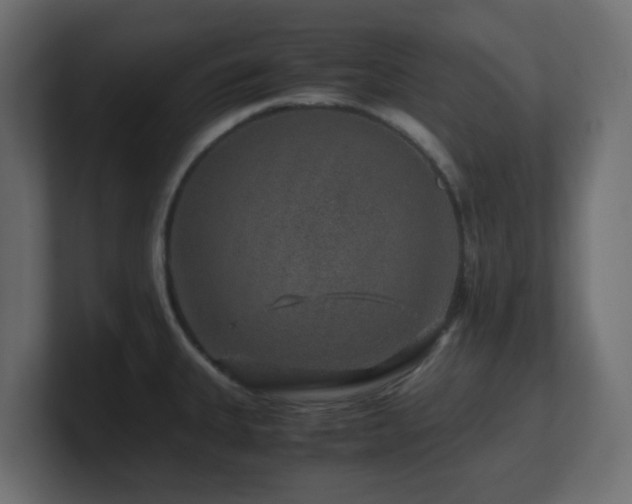 X0000101101335200806261504