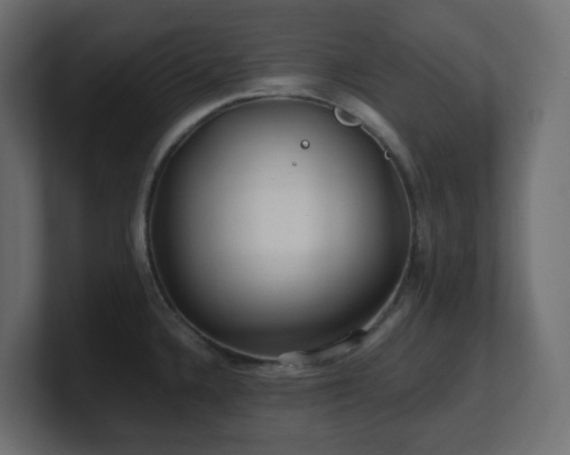 X0000101101336200806261504