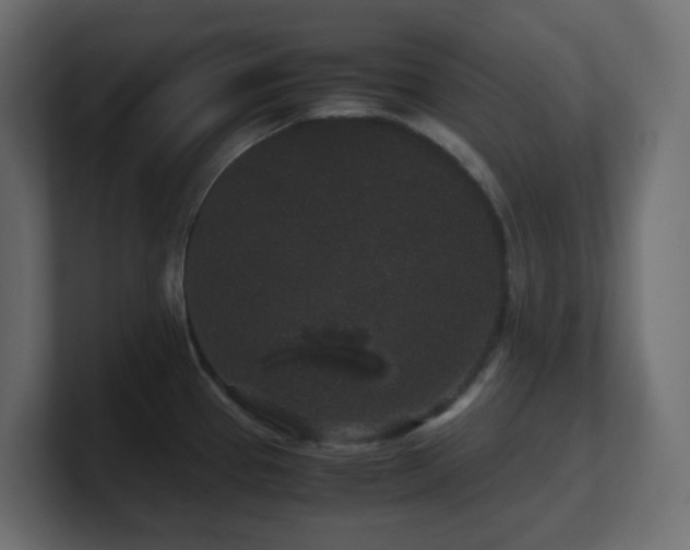 X0000101101337200806261504