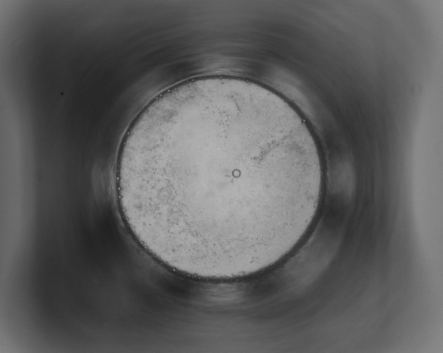 X0000101101338200806261504