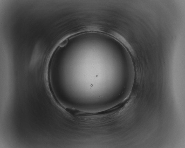 X0000101101339200806261504