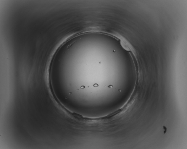 X0000101101341200806261504