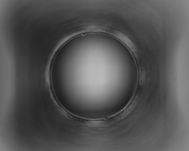 X0000101101342200806261504