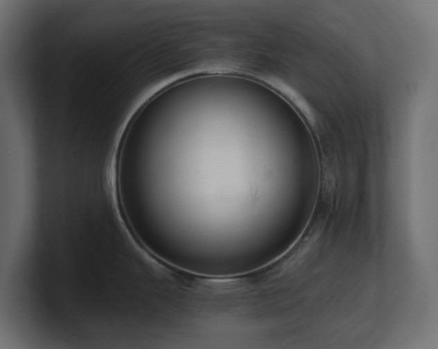 X0000101101343200806261504