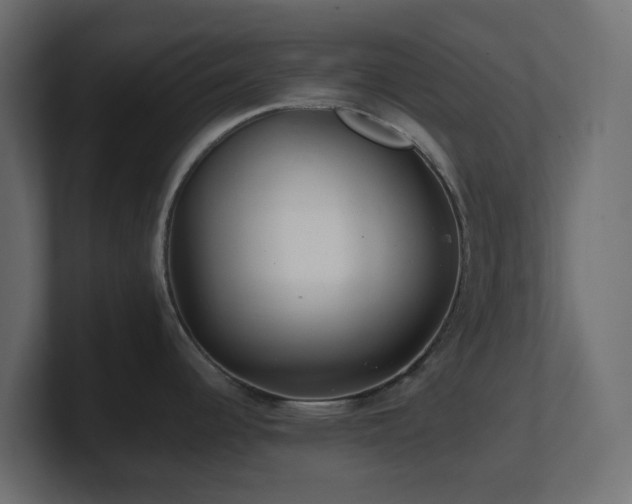 X0000101101344200806261504