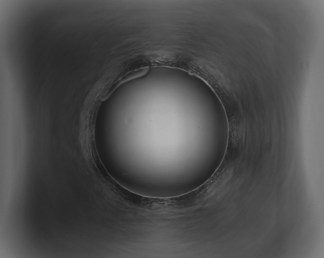 X0000101101345200806261503