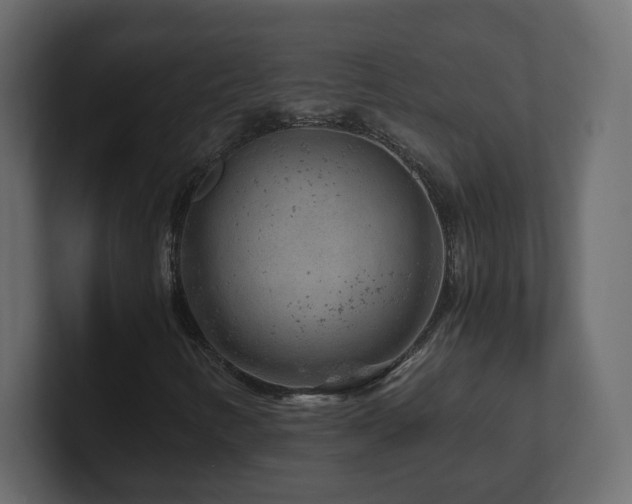 X0000101101346200806261503