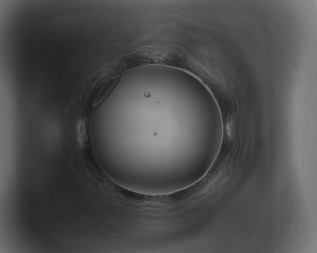 X0000101101347200806261503