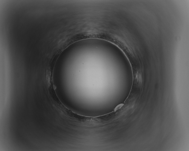 X0000101101348200806261503