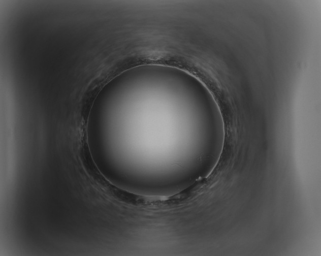 X0000101101349200806261503