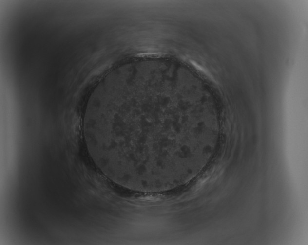 X0000101101351200806261503