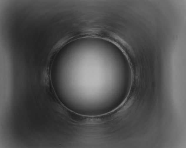 X0000101101354200806261503