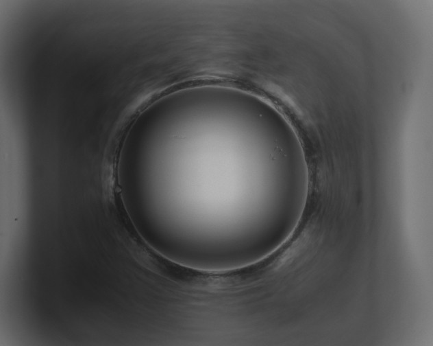 X0000101101355200806261503