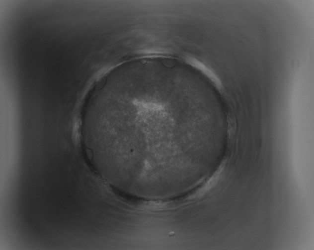 X0000101101357200806261503