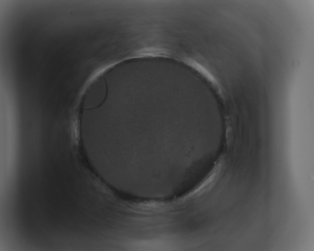 X0000101101358200806261503