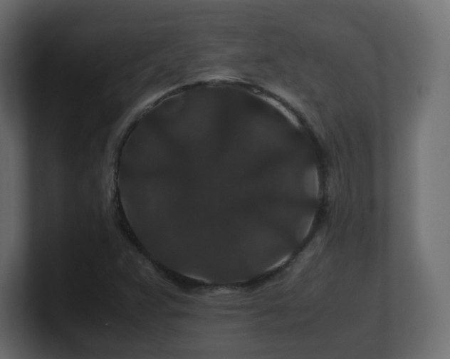 X0000101101359200806261503