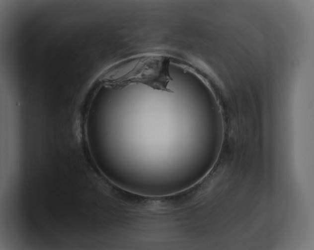 X0000101101360200806261503
