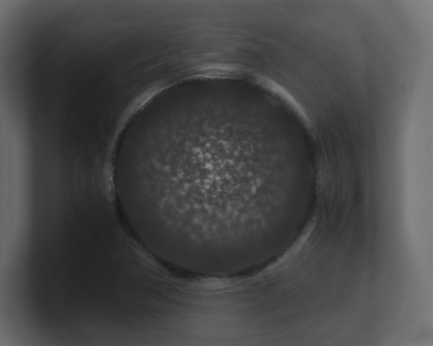 X0000101101362200806261503