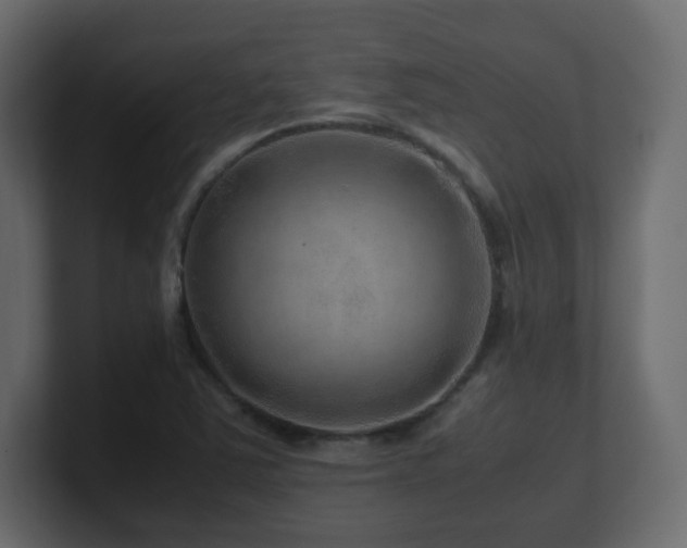 X0000101101363200806261503