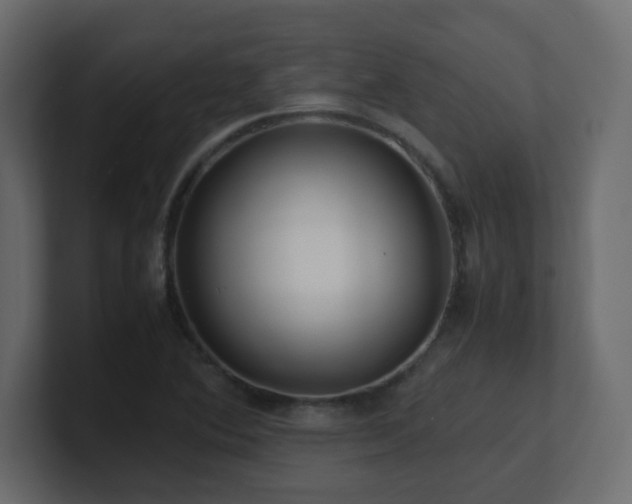 X0000101101364200806261503