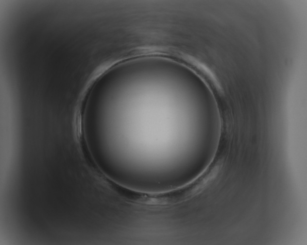 X0000101101365200806261503