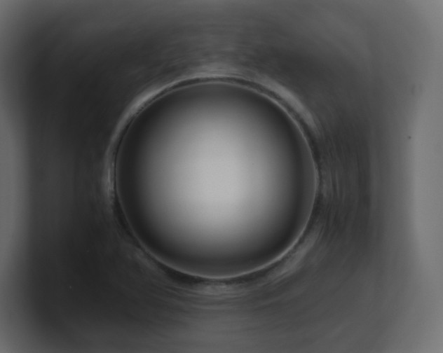 X0000101101366200806261503