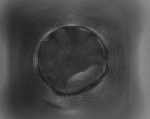 X0000101101367200806261503