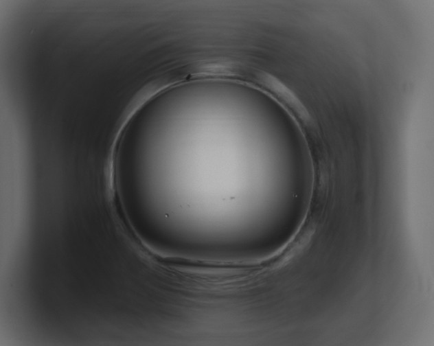 X0000101101370200806261503
