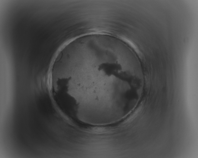 X0000101101371200806261503