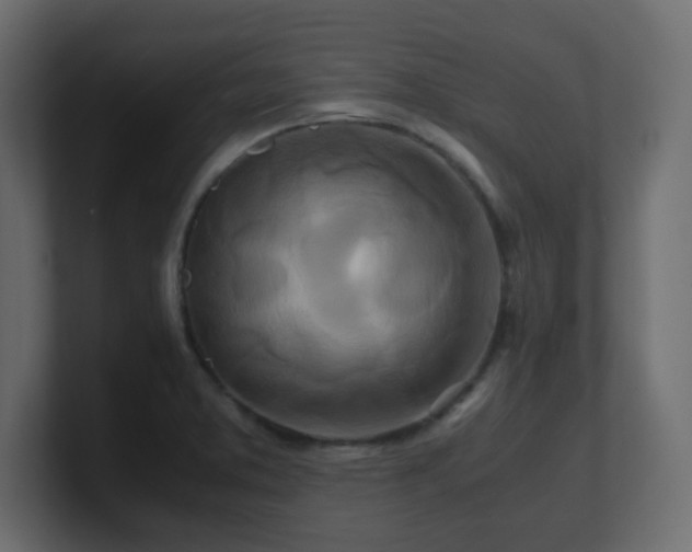 X0000101101373200806261503