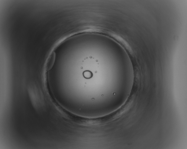 X0000101101375200806261503