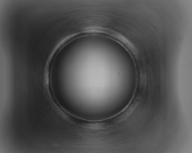 X0000101101376200806261503