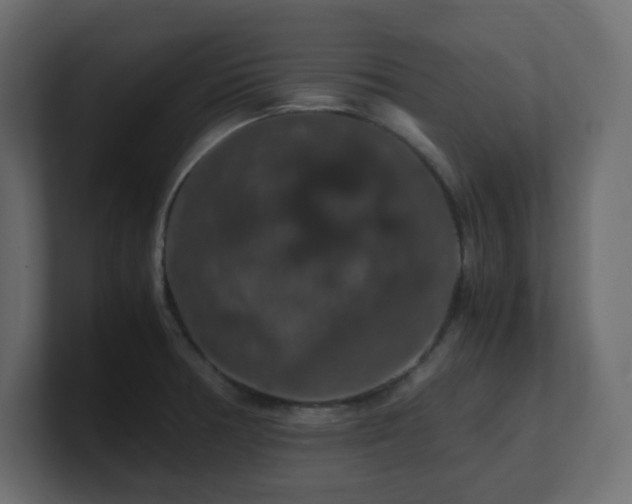 X0000101101378200806261503