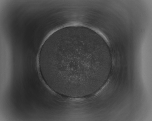 X0000101101382200806261503