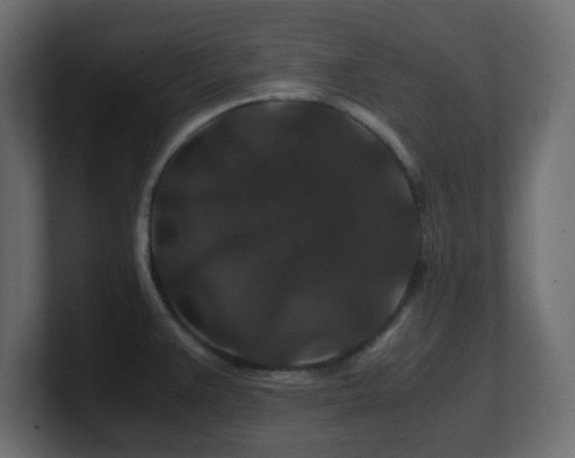 X0000101101383200806261503