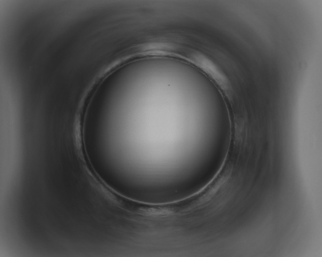 X0000101101384200806261503